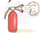 (בספר איור של נורה בתוך בית נורה)